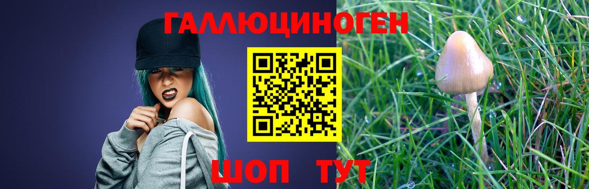 Балашиха  Псилоцибиновые грибы Psilocybe  Вход с VPN 