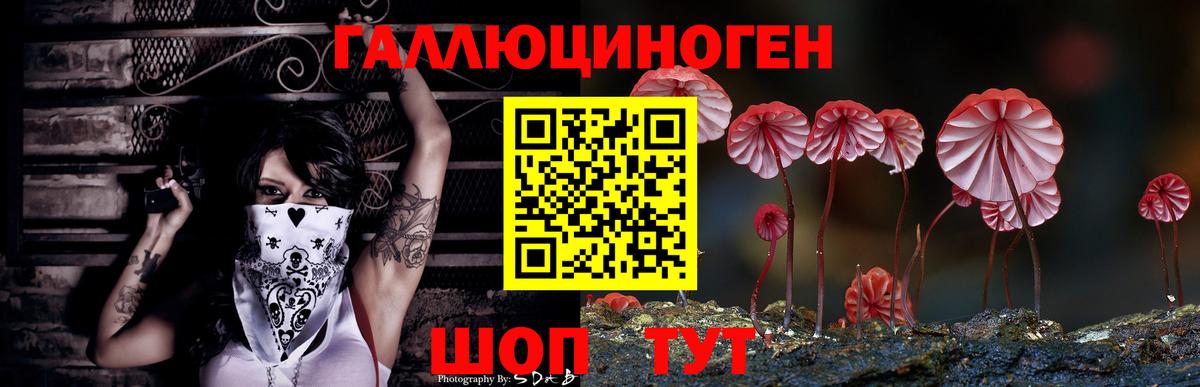 Галлюциногенные грибы прущие грибы Балашиха
